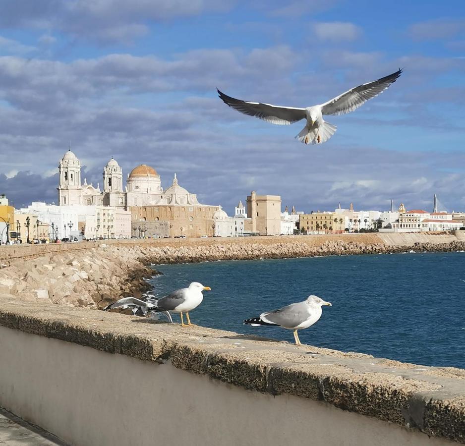 Apartamento Suite Caleta Cádiz Exteriör bild